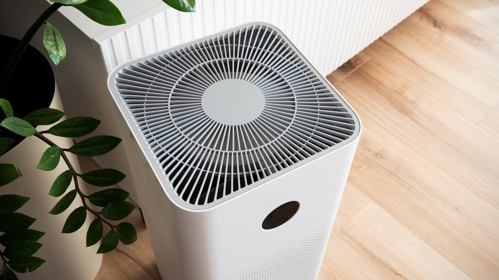best air purifier