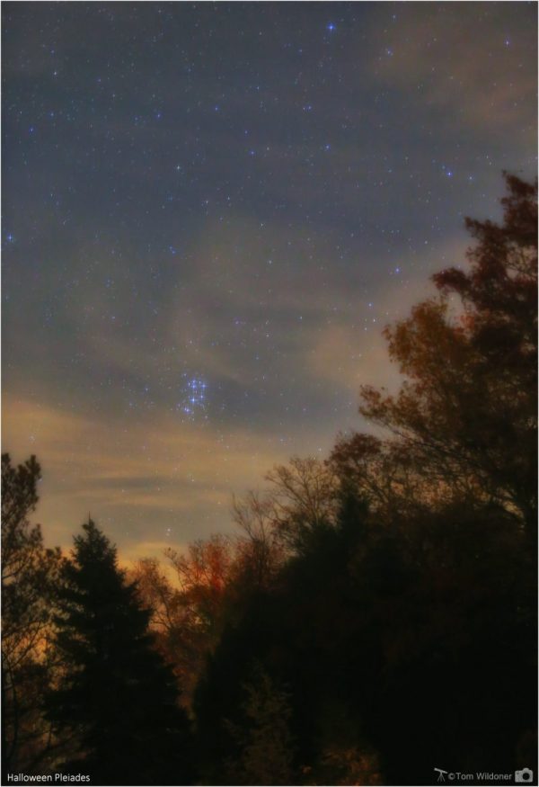 pleiades open cluster