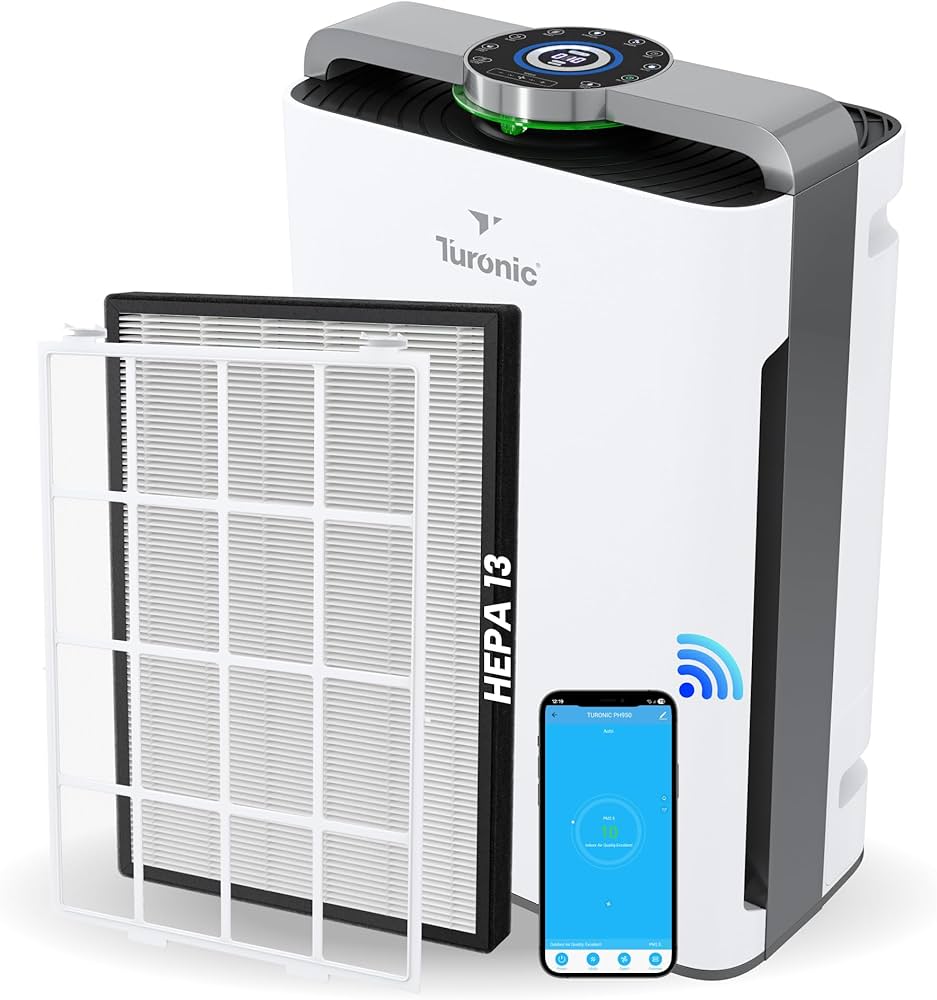 air purifier and humidifier