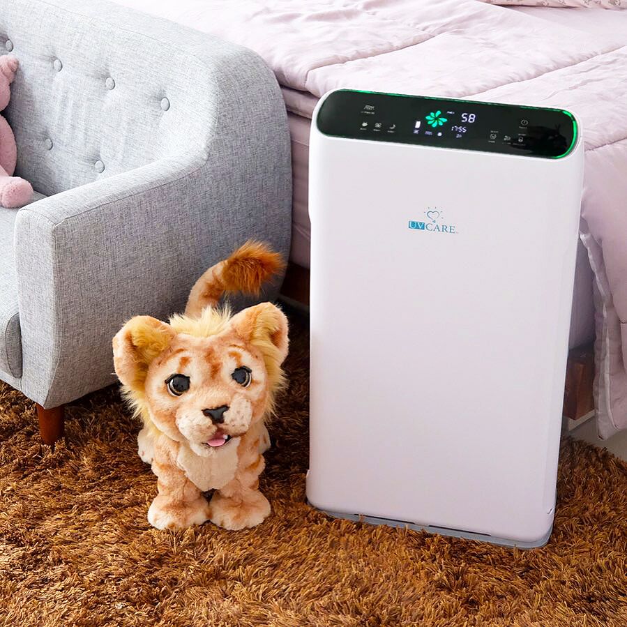 humidifier air purifier