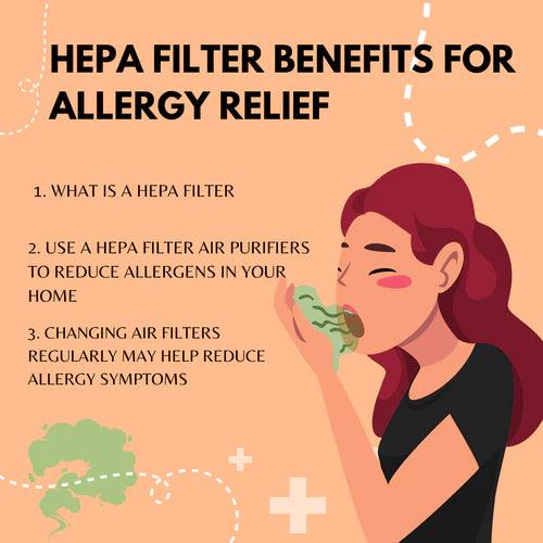 air purifier for allergies