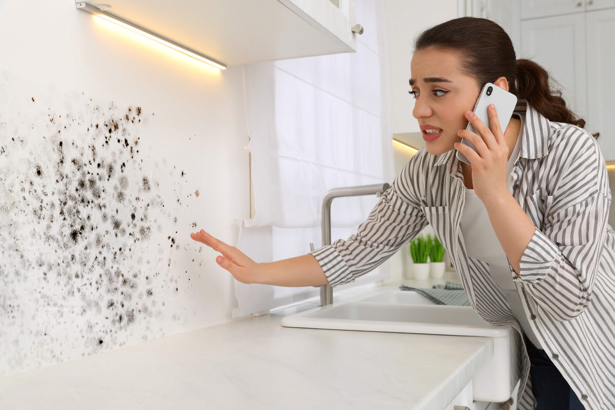 air purifier for mold