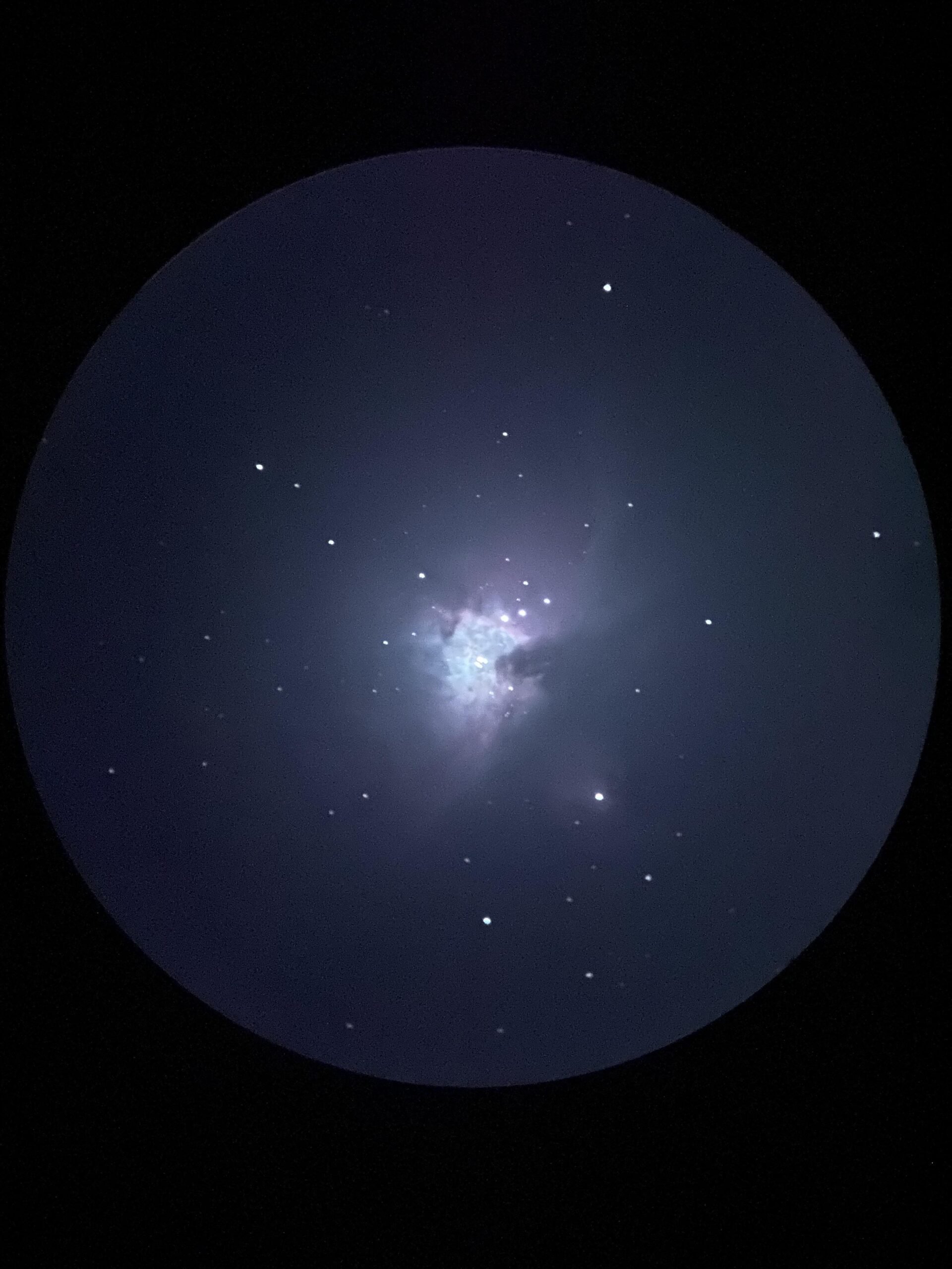 hubble telescope orion nebula