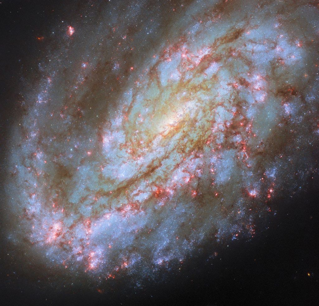 crab nebula james webb