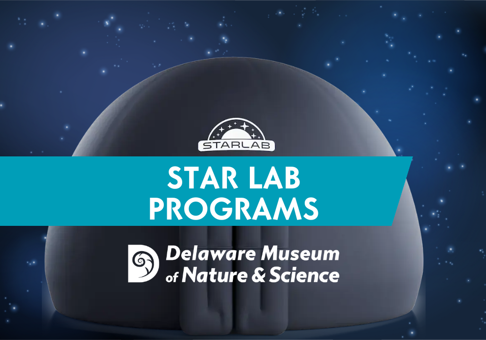 star lab planetarium